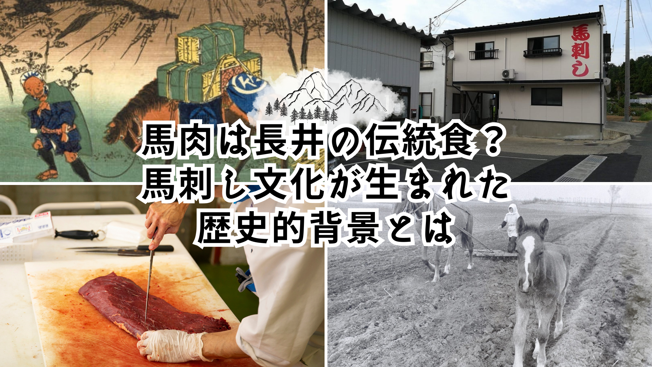 馬肉は長井の伝統食？馬刺し文化が生まれた歴史的背景とは